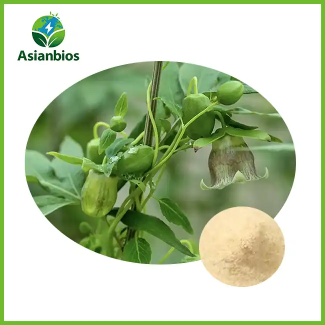 Codonopsis Extract